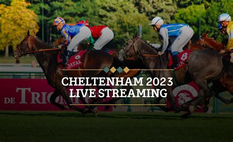 16.50 cheltenham|cheltenham festival 2023 live.